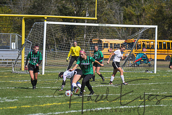 2019 Girls Soccer vs Firelands-96