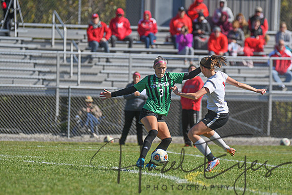 2019 Girls Soccer vs Firelands-117