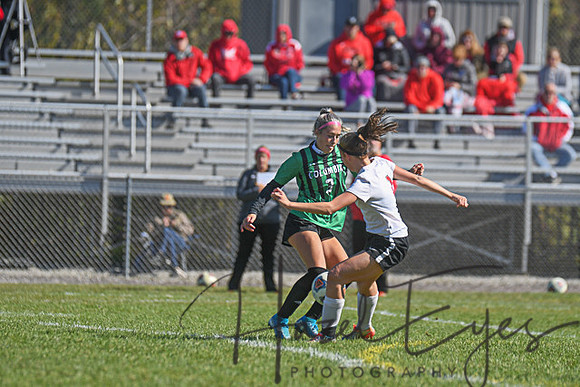 2019 Girls Soccer vs Firelands-118