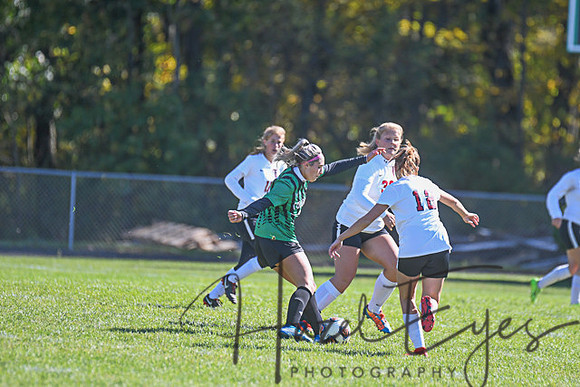 2019 Girls Soccer vs Firelands-123