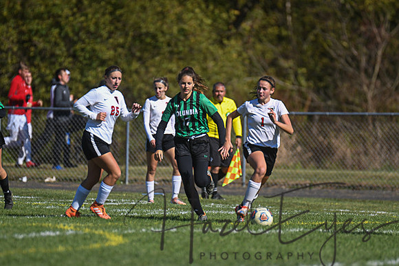 2019 Girls Soccer vs Firelands-139
