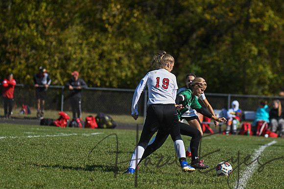 2019 Girls Soccer vs Firelands-142