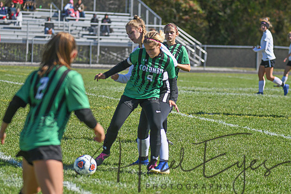 2019 Girls Soccer vs Firelands-147