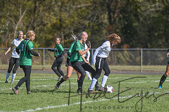 2019 Girls Soccer vs Firelands-151