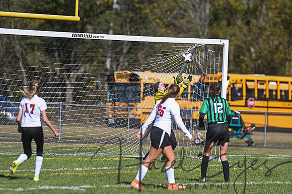 2019 Girls Soccer vs Firelands-155