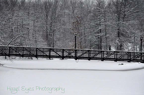 Winter.1