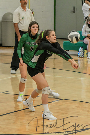2020 VB vs Black River-24