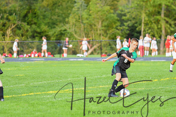 CHS Boys vs Firelands-234