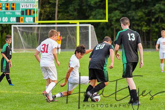 CHS Boys vs Firelands-244