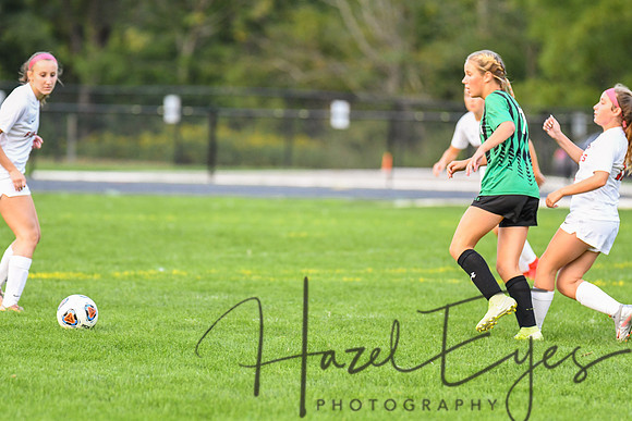 CHS Girls vs Firelands-20