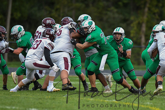 2020 CHS FB G4 vs Wellington-64