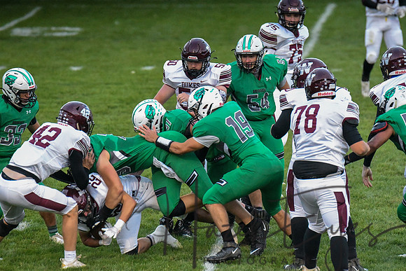 2020 CHS FB G4 vs Wellington-136
