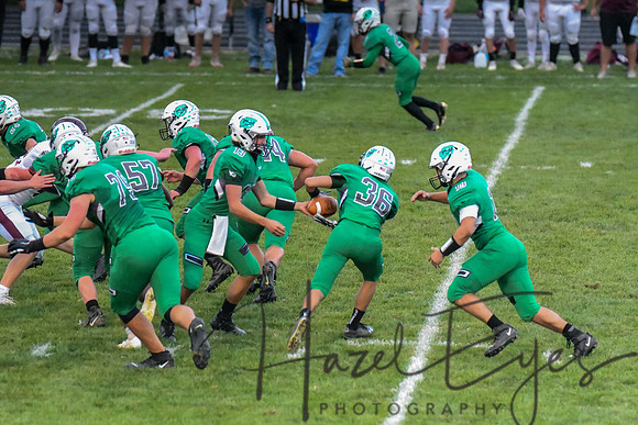 2020 CHS FB G4 vs Wellington-156