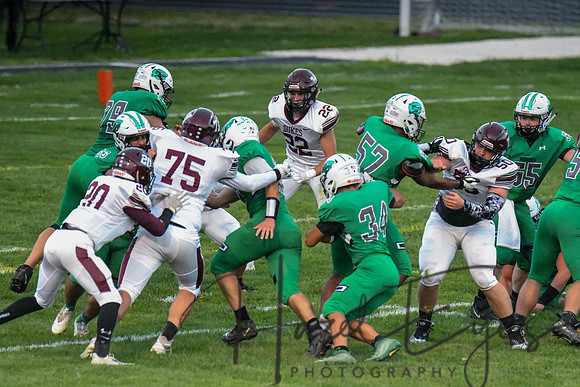 2020 CHS FB G4 vs Wellington-204