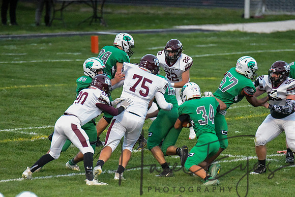 2020 CHS FB G4 vs Wellington-205