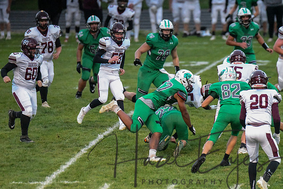 2020 CHS FB G4 vs Wellington-223