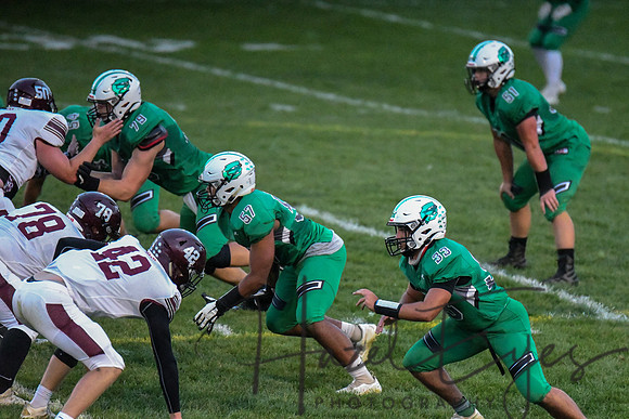 2020 CHS FB G4 vs Wellington-224