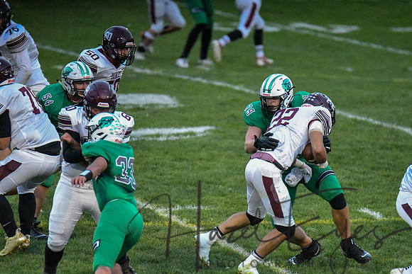 2020 CHS FB G4 vs Wellington-226