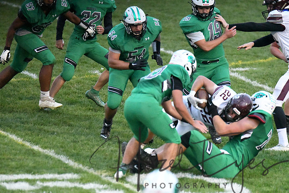 2020 CHS FB G4 vs Wellington-228