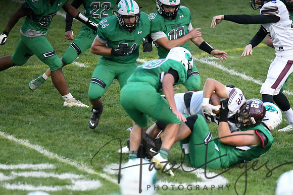 2020 CHS FB G4 vs Wellington-229