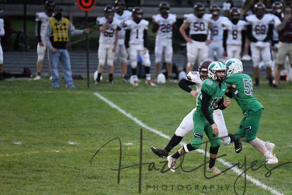 2020 CHS FB G4 vs Wellington-239