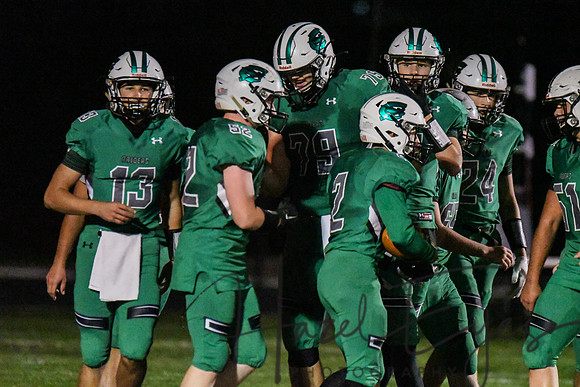 2020 CHS FB G4 vs Wellington-388