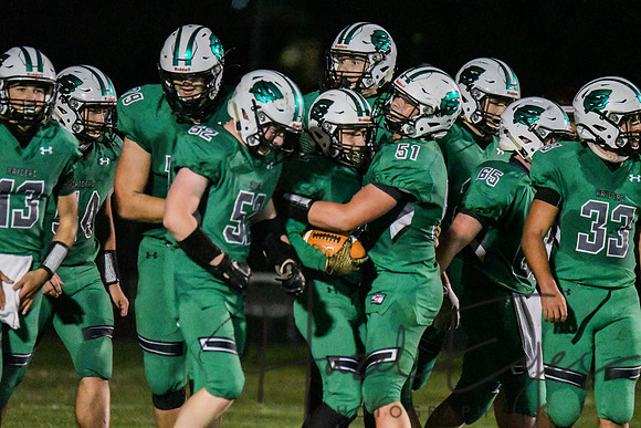 2020 CHS FB G4 vs Wellington-390