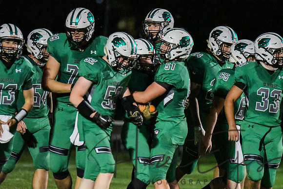2020 CHS FB G4 vs Wellington-391