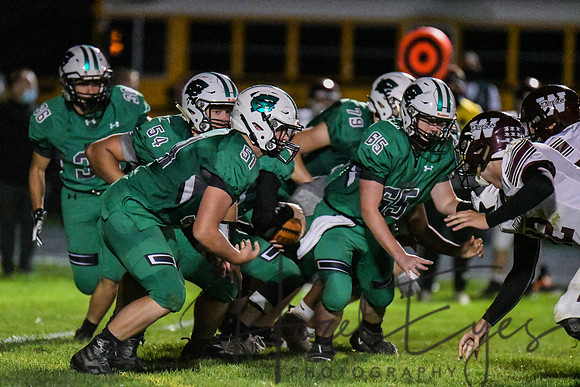 2020 CHS FB G4 vs Wellington-451