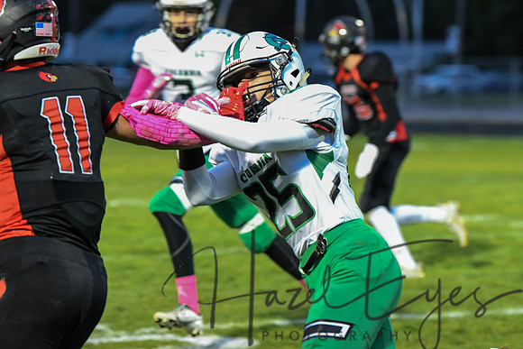 2020 CHS FB  vs Brookside -89