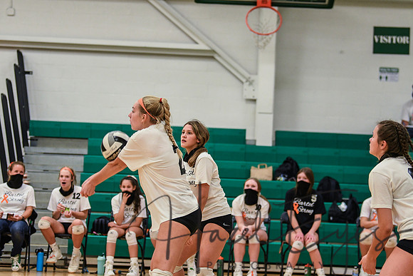 2020 VB vs Wellington-2