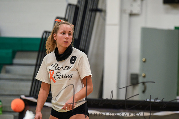 2020 VB vs Wellington-1