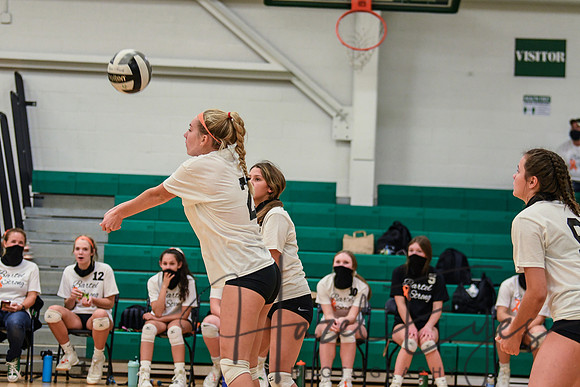 2020 VB vs Wellington-3