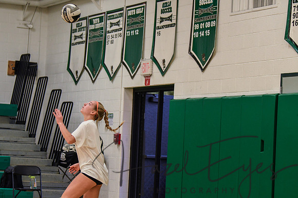 2020 VB vs Wellington-4