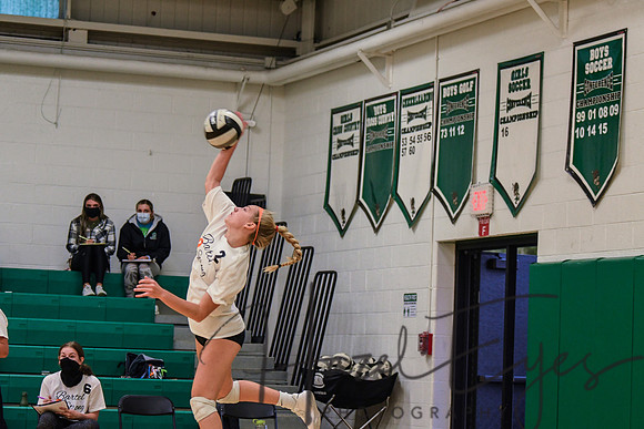 2020 VB vs Wellington-6