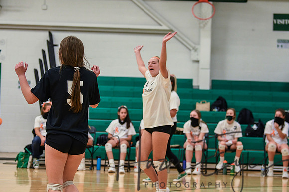 2020 VB vs Wellington-11