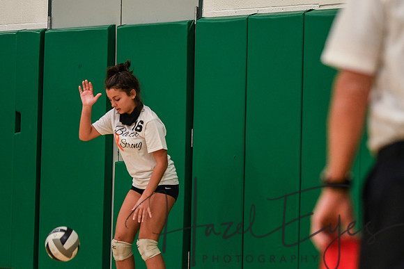 2020 VB vs Wellington-12