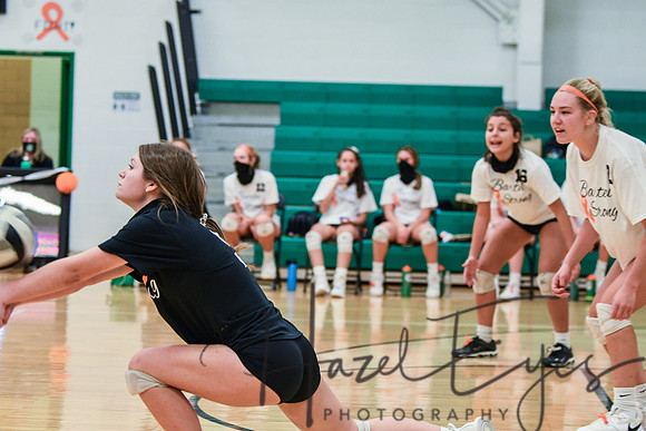 2020 VB vs Wellington-14