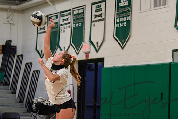 2020 VB vs Wellington-20