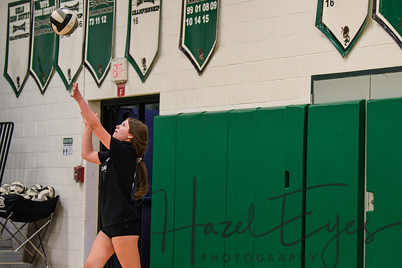 2020 VB vs Wellington-23