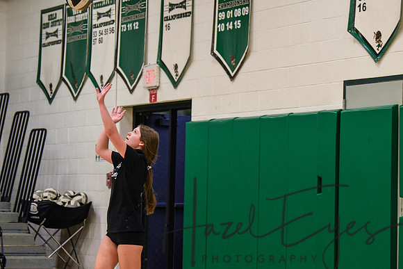 2020 VB vs Wellington-24