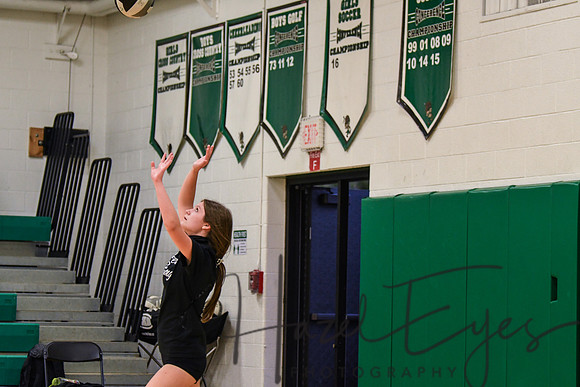 2020 VB vs Wellington-25