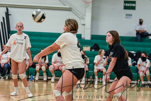 2020 VB vs Wellington-26