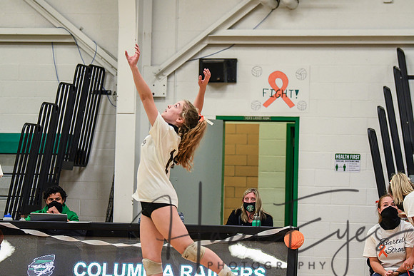 2020 VB vs Wellington-29