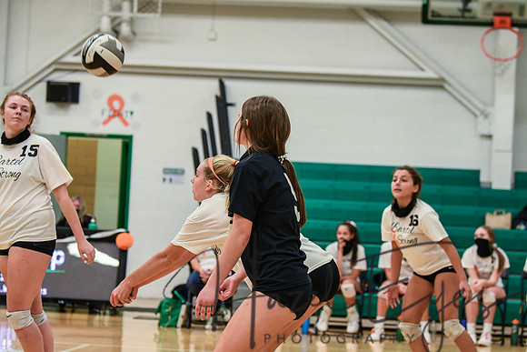 2020 VB vs Wellington-34