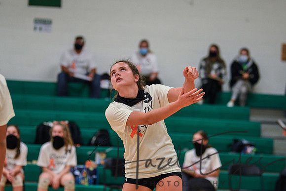 2020 VB vs Wellington-41