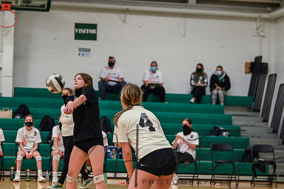 2020 VB vs Wellington-48