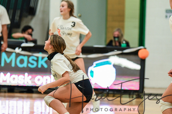2020 VB vs Wellington-51