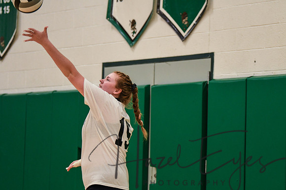 2020 VB vs Wellington-67