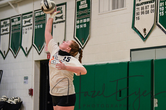 2020 VB vs Wellington-68